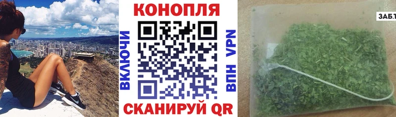 Купить где  Арзамас  Бошки марихуана конопля 